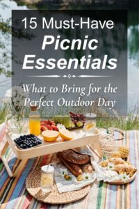 Picnic essentials laid out on a blanket by the lake with food, drinks, picnic tray, and outdoor setup