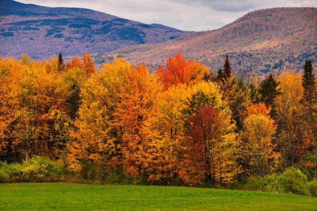 best fall foliage states , fall destinations USA, autumn travel USA, fall road trips USA