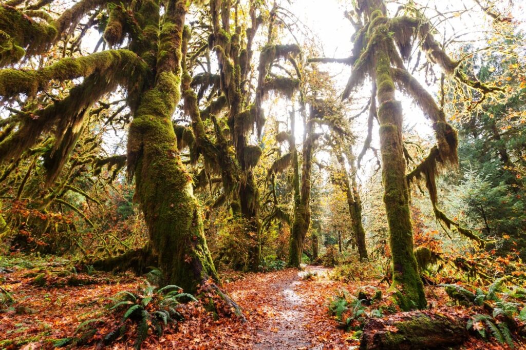 most beautiful national parks in the United States, beautiful national parks in the USA, best national parks in the United States