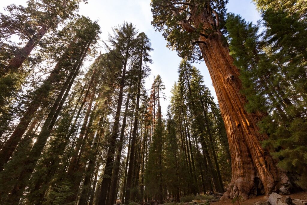 most beautiful national parks in the United States, beautiful national parks in the USA, best national parks in the United States